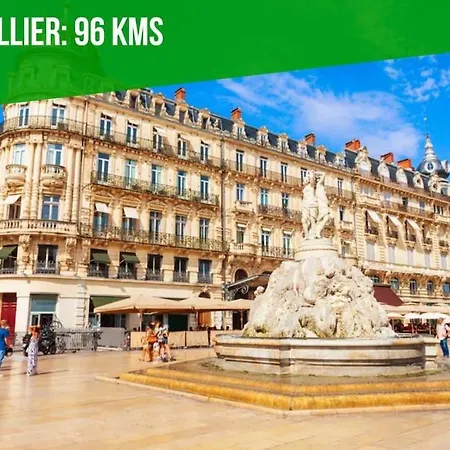 Apartment Le Figuier - Clim - Wifi Villeneuve-lès-Avignon